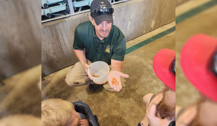 Discover the Journey from Hatchery to Habitat, Ohio Invites Public to Explore State Fish Hatcheries This Spring