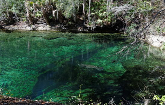 Diver Found Dead in Florida's Twin Caves as Two Companions Rescued: A Tragic Outcome in Marianna