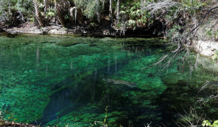 Diver Found Dead in Florida's Twin Caves as Two Companions Rescued: A Tragic Outcome in Marianna