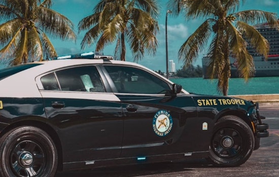 Dog Chase on I-595 and I-95 Causes Traffic Standstill in Fort Lauderdale