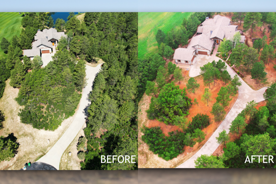 Douglas County Reinvigorates Wildfire Mitigation Efforts with Cost-Share Program for Homeowners