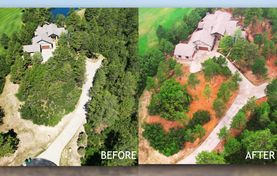Douglas County Reinvigorates Wildfire Mitigation Efforts with Cost-Share Program for Homeowners