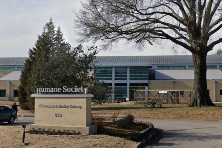 Drive-Thru Vaccine and Microchipping Clinic for Pets Announced in Memphis Without Appointment Needs