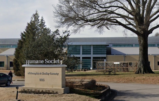 Drive-Thru Vaccine and Microchipping Clinic for Pets Announced in Memphis Without Appointment Needs