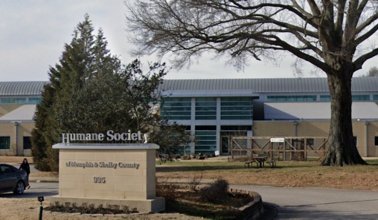 Drive-Thru Vaccine and Microchipping Clinic for Pets Announced in Memphis Without Appointment Needs