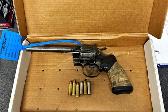Driver Charged with Firearms Possession after Early Morning Traffic Stop on I-880, Oakland