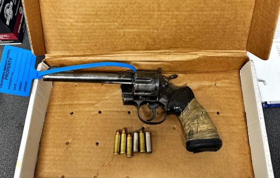 Driver Charged with Firearms Possession after Early Morning Traffic Stop on I-880, Oakland