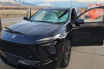 Driver Hospitalized After Turkey Crashes Through Windshield on Utah's I-15 Near Garland