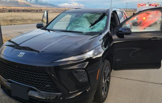 Driver Hospitalized After Turkey Crashes Through Windshield on Utah's I-15 Near Garland