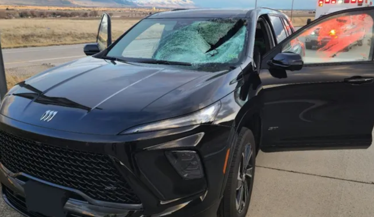 Driver Hospitalized After Turkey Crashes Through Windshield on Utah's I-15 Near Garland