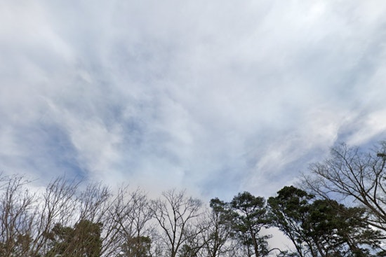 East Tennessee Braces for High Winds and Severe Weather as Knoxville and Chattanooga Face Power Outage and Wildfire Risks