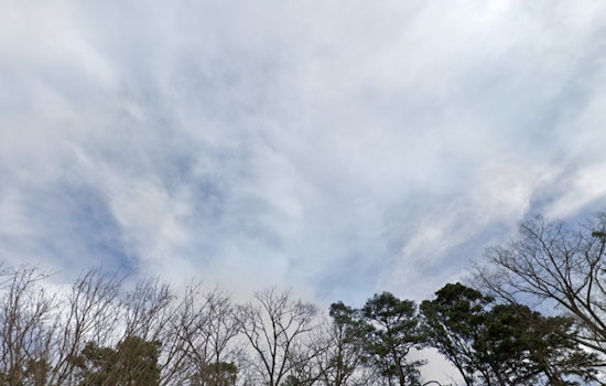 East Tennessee Braces for High Winds and Severe Weather as Knoxville and Chattanooga Face Power Outage and Wildfire Risks