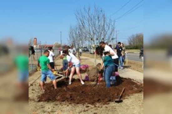 Edmond's Urban Forestry Program Cultivates City's Eco-Consciousness and Quality of Life