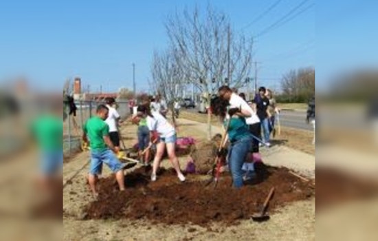 Edmond's Urban Forestry Program Cultivates City's Eco-Consciousness and Quality of Life