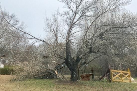 EF1 Tornado Hits Unionville During Severe Weather Preparedness Week as No Injuries Are Reported