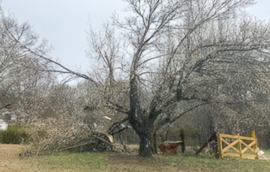 EF1 Tornado Hits Unionville During Severe Weather Preparedness Week as No Injuries Are Reported
