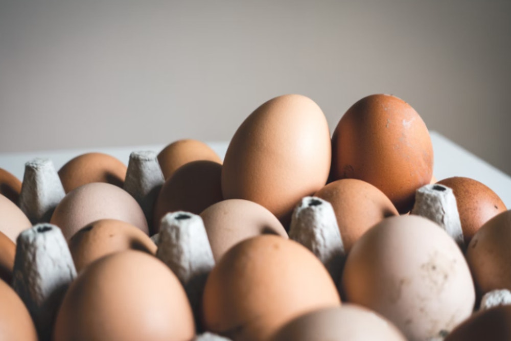 Egg Prices Dip Nationally, Yet Consumers Still Encounter High Costs at Grocery Stores Amid Market Instabilities