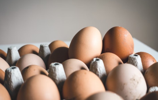 Egg Prices Dip Nationally, Yet Consumers Still Encounter High Costs at Grocery Stores Amid Market Instabilities