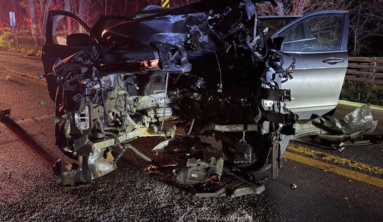 Ejected Motor Ignites Woods After Severe Crash on Ooltewah-Ringgold Road, One Juvenile Hospitalized