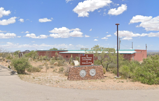 El Paso Museum of Archaeology Welcomes Spring with 18th Annual Poppies Fest