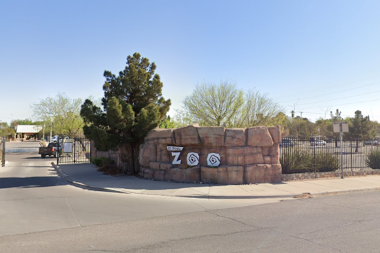 El Paso Zoo & Botanical Gardens Extends Hours for Spring Break, Welcomes New Animals and Engages Public in Baby Giraffe Naming Contest