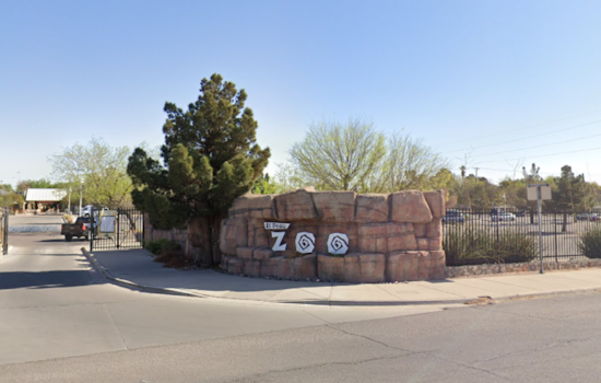 El Paso Zoo & Botanical Gardens Extends Hours for Spring Break, Welcomes New Animals and Engages Public in Baby Giraffe Naming Contest