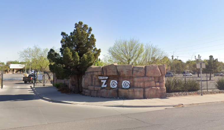 El Paso Zoo & Botanical Gardens Extends Hours for Spring Break, Welcomes New Animals and Engages Public in Baby Giraffe Naming Contest