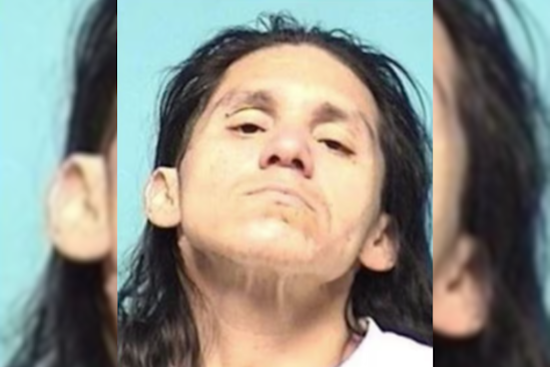 Elyria Man Charged with Assault After Attacking Woman at Police Station with Intent to Harm Officer