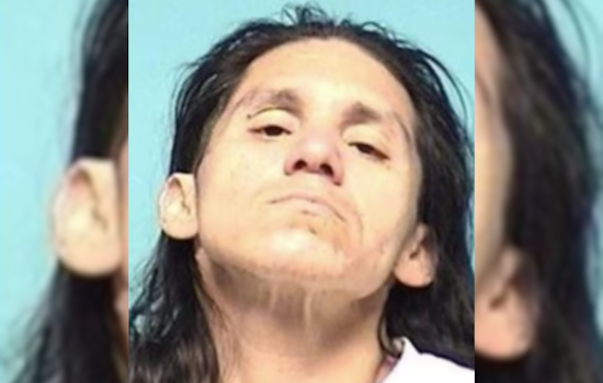 Elyria Man Charged with Assault After Attacking Woman at Police Station with Intent to Harm Officer