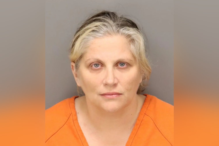 Ex-Tarpon Springs Little League President Charged with Embezzling Over $23K