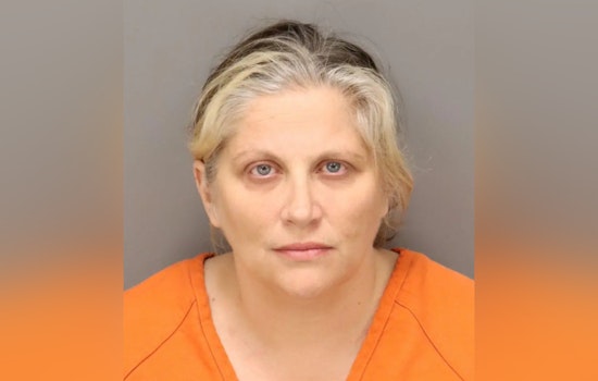 Ex-Tarpon Springs Little League President Charged with Embezzling Over $23K