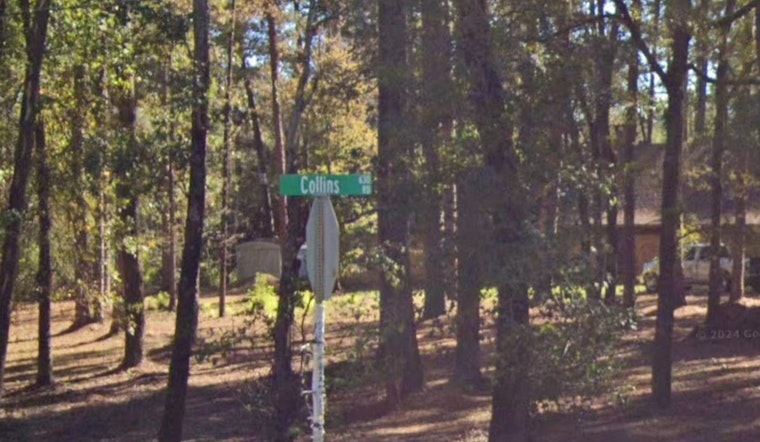 Fatal Multi-Vehicle Crash on Louisiana Highway 6 Claims Life of Natchitoches Woman, Others Injured