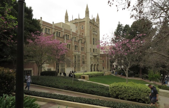 Federal Investigation Targets UCLA, UC Irvine Over DEI Admissions Policies Post Supreme Court Ruling