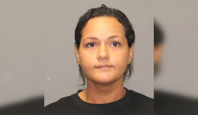 Four Arrested in Hudson After Firearm Displayed on Live Stream, Police Chief Commends Swift Action