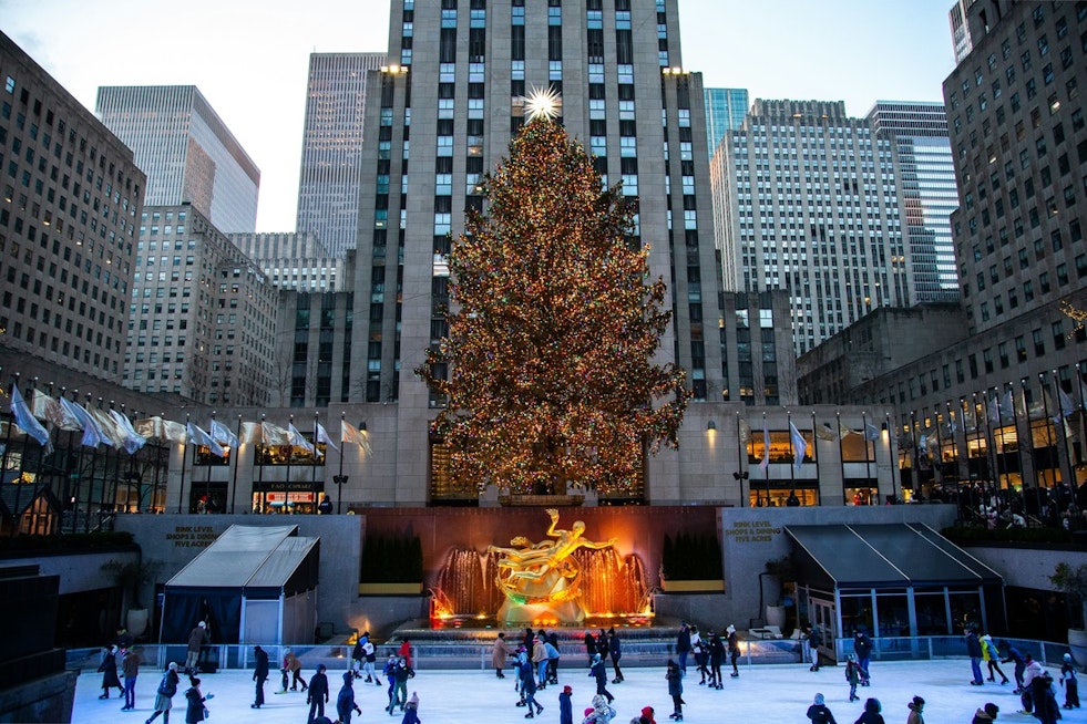 From New York's Glitter to Maryland's Shelter, Rockefeller Center Christmas Tree Repurposed for Housing