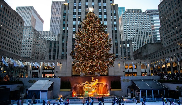 From New York's Glitter to Maryland's Shelter, Rockefeller Center Christmas Tree Repurposed for Housing