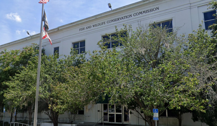 FWC Invites Florida Public to Virtual Debates on Black Bear Hunting Regulations