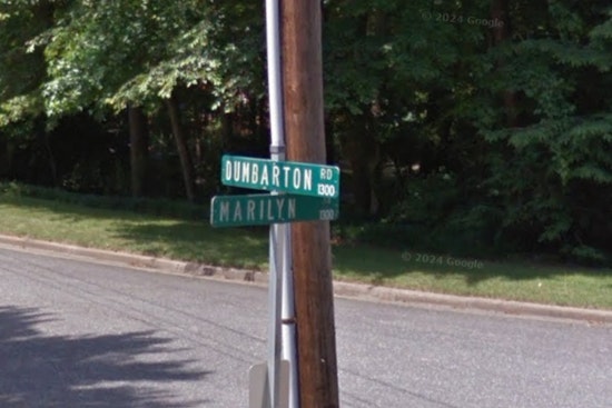 Gaston County Confirms Second Rabies Case of 2025 After Dogs Encounter Infected Raccoon in Gastonia