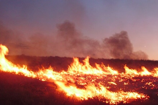 Gatlinburg Fire Crews Contain Wildfire Amid High Risk Conditions as City Upholds Burn Ban