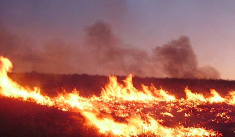 Gatlinburg Fire Crews Contain Wildfire Amid High Risk Conditions as City Upholds Burn Ban