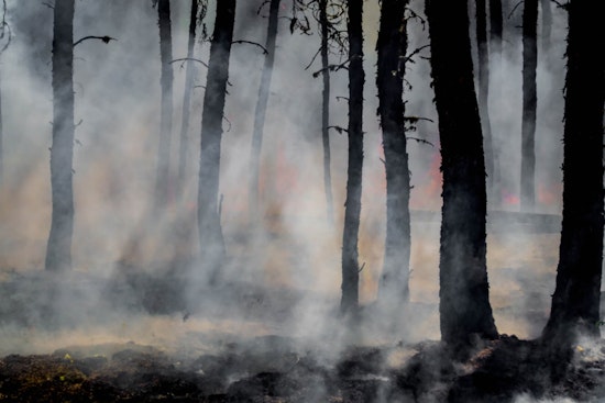 Georgia Halts Burn Permits Amid Wildfire Risks, Neighboring States Enforce Bans