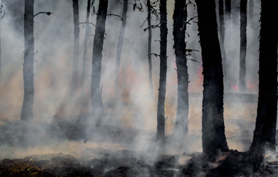 Georgia Halts Burn Permits Amid Wildfire Risks, Neighboring States Enforce Bans