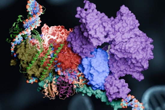 Georgia State University Scientists Advance DNA Repair Understanding with Summit Supercomputer
