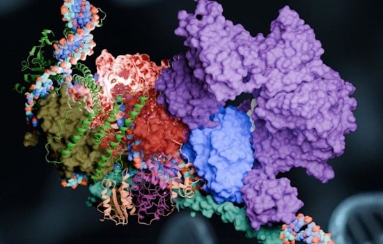 Georgia State University Scientists Advance DNA Repair Understanding with Summit Supercomputer