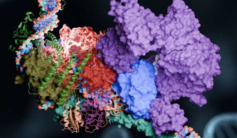 Georgia State University Scientists Advance DNA Repair Understanding with Summit Supercomputer