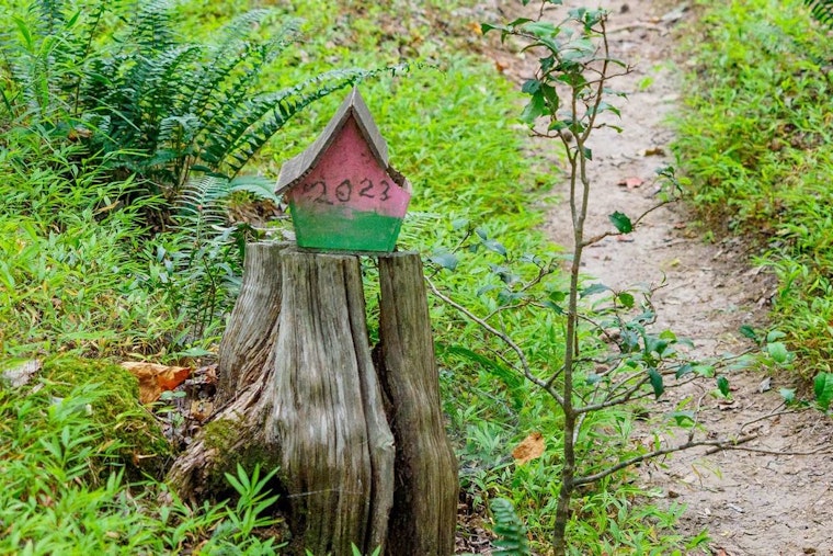 Get Crafty in Raleigh as Annie Louise Wilkerson Nature Preserve Hosts Woodland Village House Decorating Event for Kids