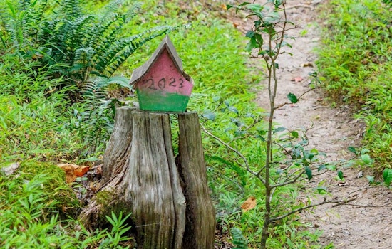 Get Crafty in Raleigh as Annie Louise Wilkerson Nature Preserve Hosts Woodland Village House Decorating Event for Kids