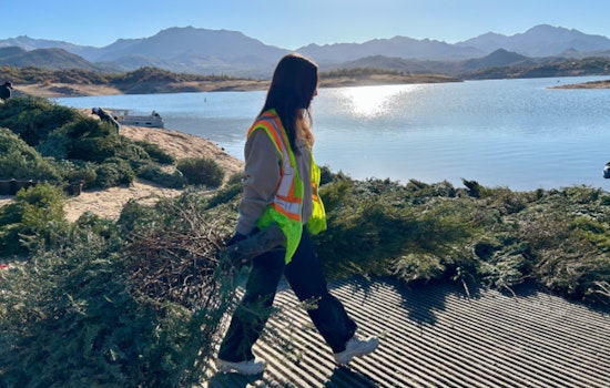 Gilbert's Christmas Tree Recycling Program Transforms Holiday Waste into Ecological Wins