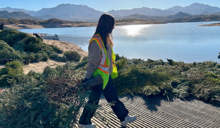 Gilbert's Christmas Tree Recycling Program Transforms Holiday Waste into Ecological Wins