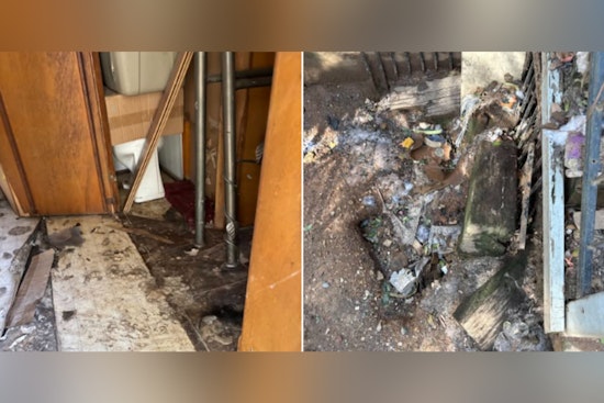 Grass Valley Couple Rearrested on Severe Animal Cruelty Charges, 18 Dogs Rescued from Neglectful Conditions